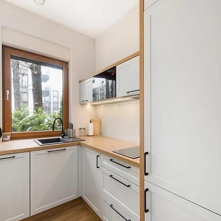 Krakowiak 89 公寓 *